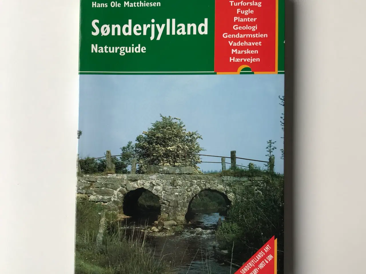 Billede 1 - Sønderjylland - Naturguide -  Skarv