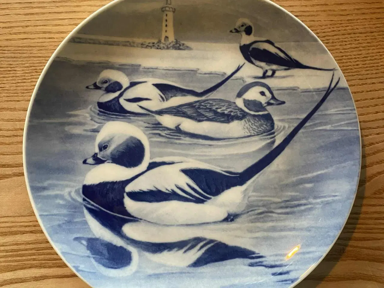 Billede 16 - Tove Svendsen jagtplatter