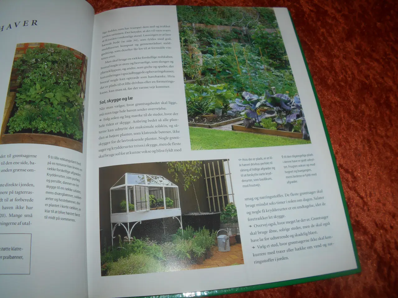 Billede 4 - Den praktiske køkkenhave, Barbara Segall,