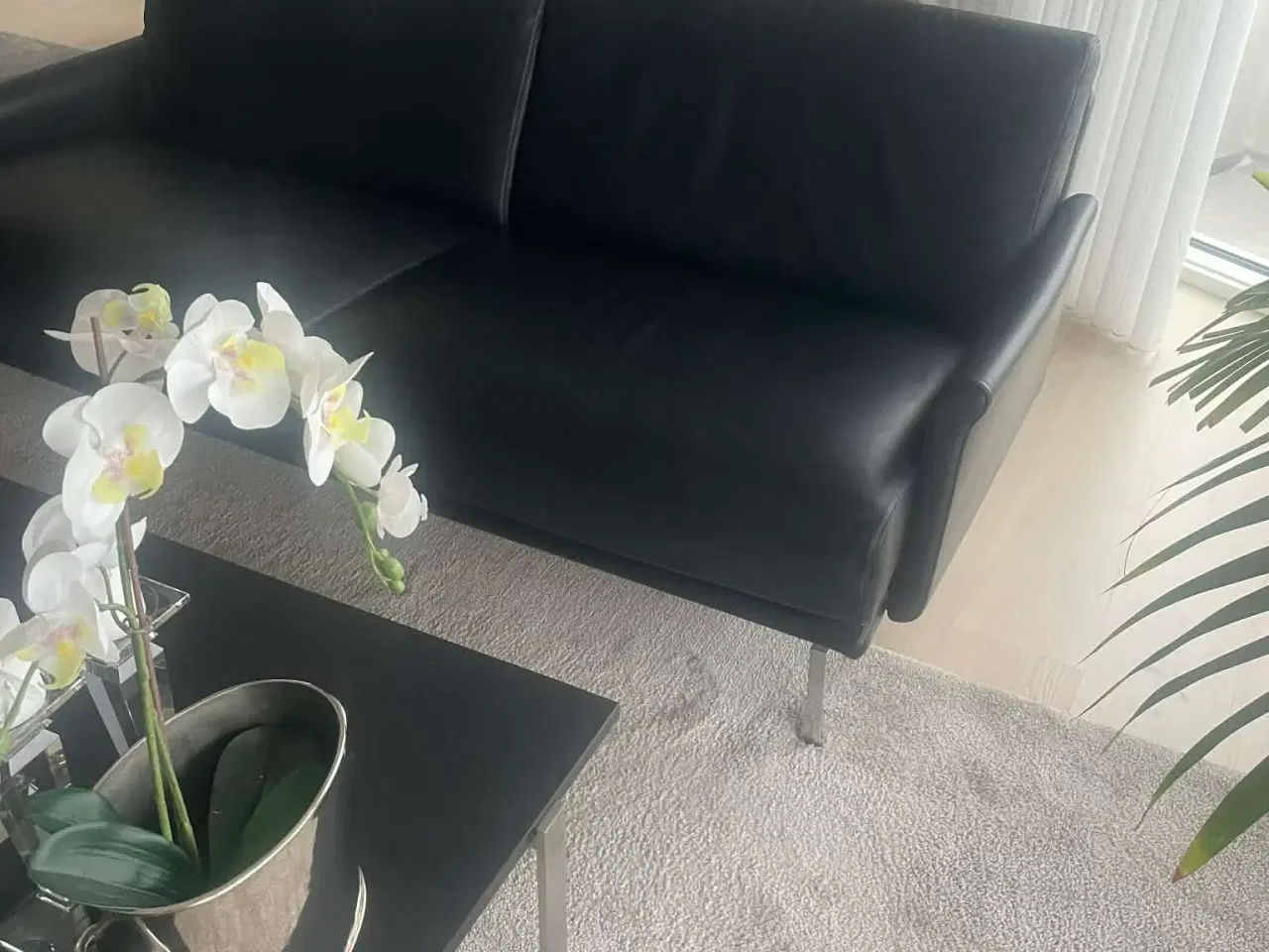 Billede 5 - 2 Moroso italienske design læder sofaer