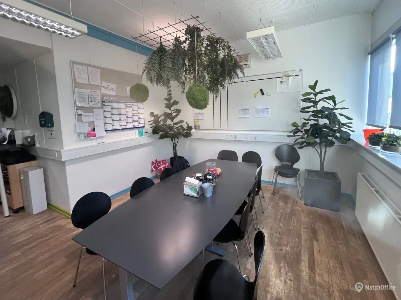 Billede 4 - Stor hal med med ledhejseport. kontor, køkkenfaciliteter og toilet med bad.