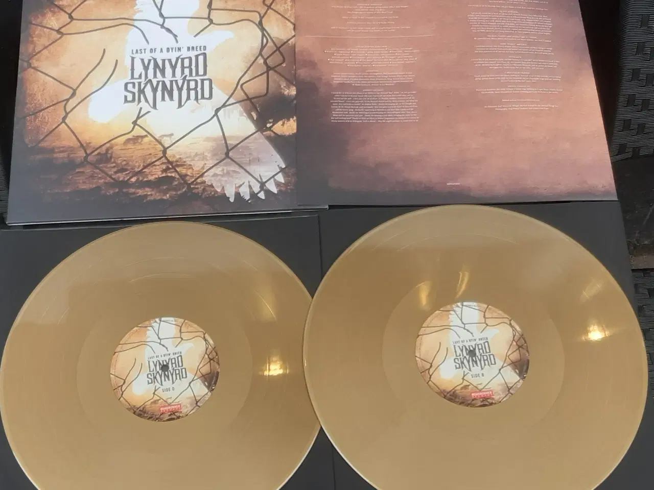 Billede 3 - Lynyrd Skynyrd ... last of a dyin' breed