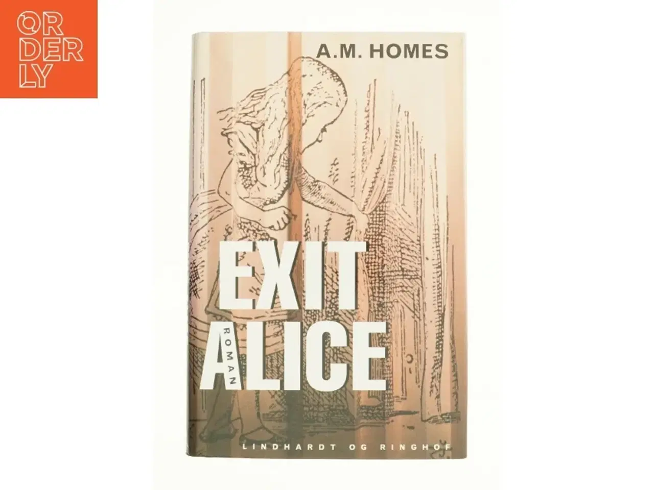 Billede 1 - Excit Alice af A.M. Homes (Bog)