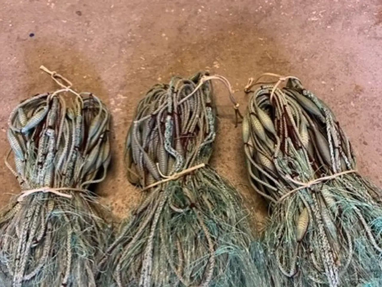 Billede 3 - NYT TILTAG FISKEGARN TIL FLADFISK - PIGHVAR/HUMMER