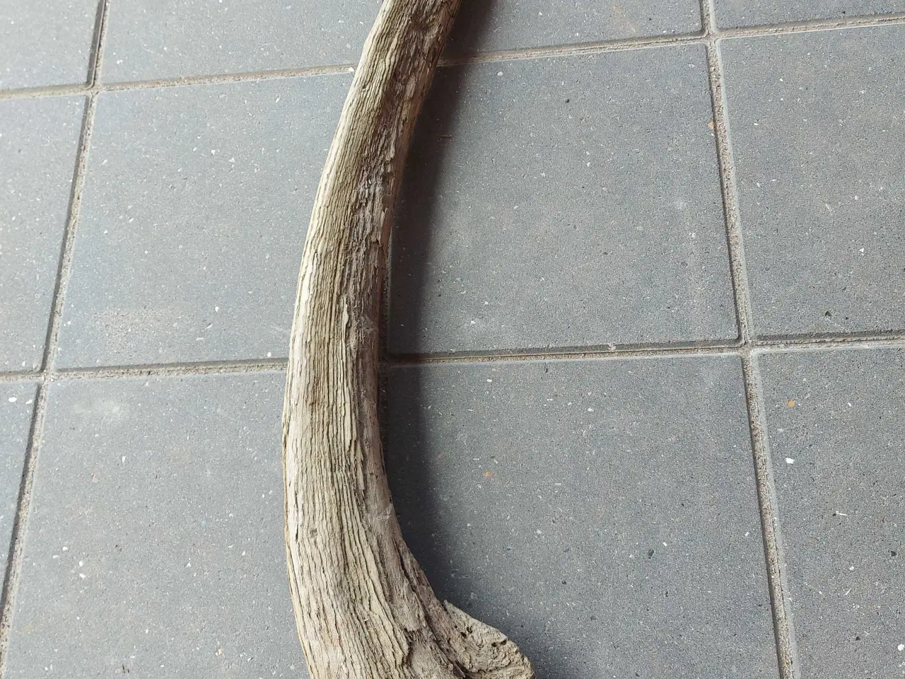 Billede 3 - Drivtømmer, flot buet stykke på 1 meter
