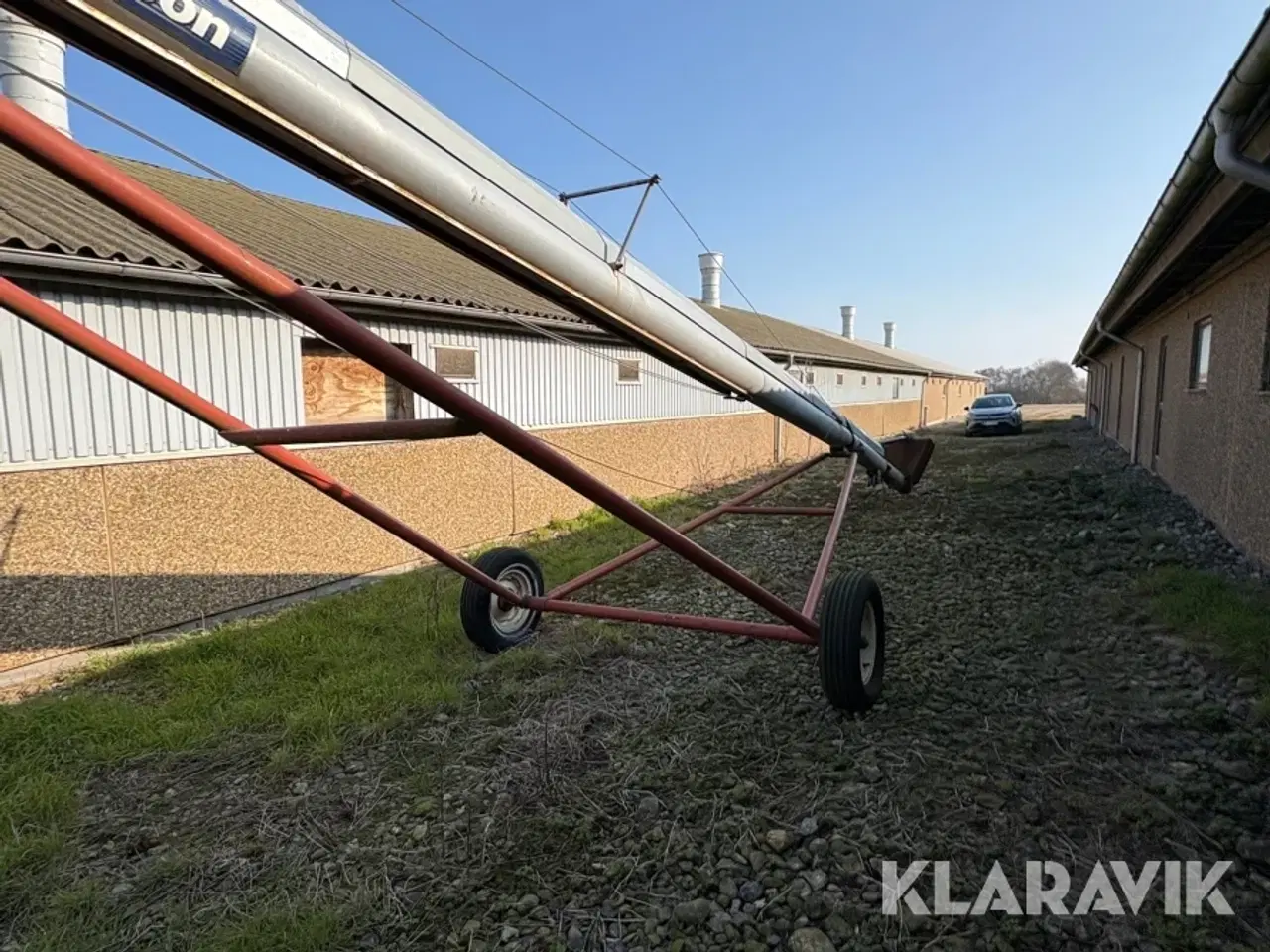 Billede 7 - Kornsnegl Hutchinson