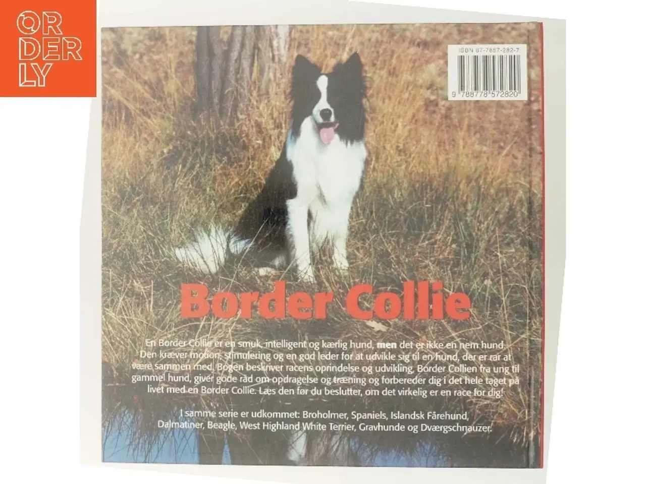 Billede 3 - Border Collie af Emmy Simonsen (Bog)