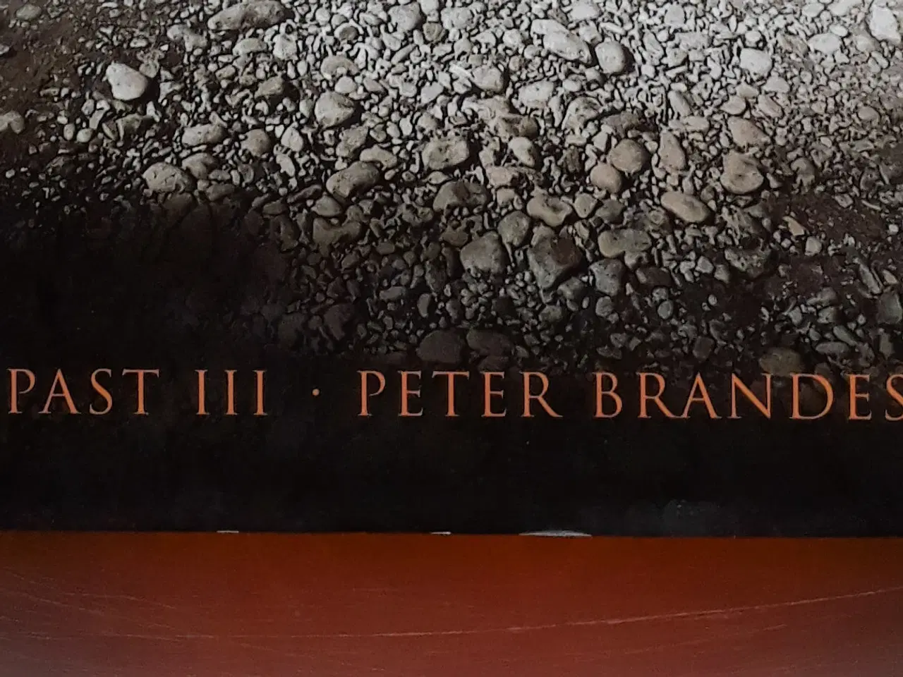 Billede 2 - Peter Brandes - Past III