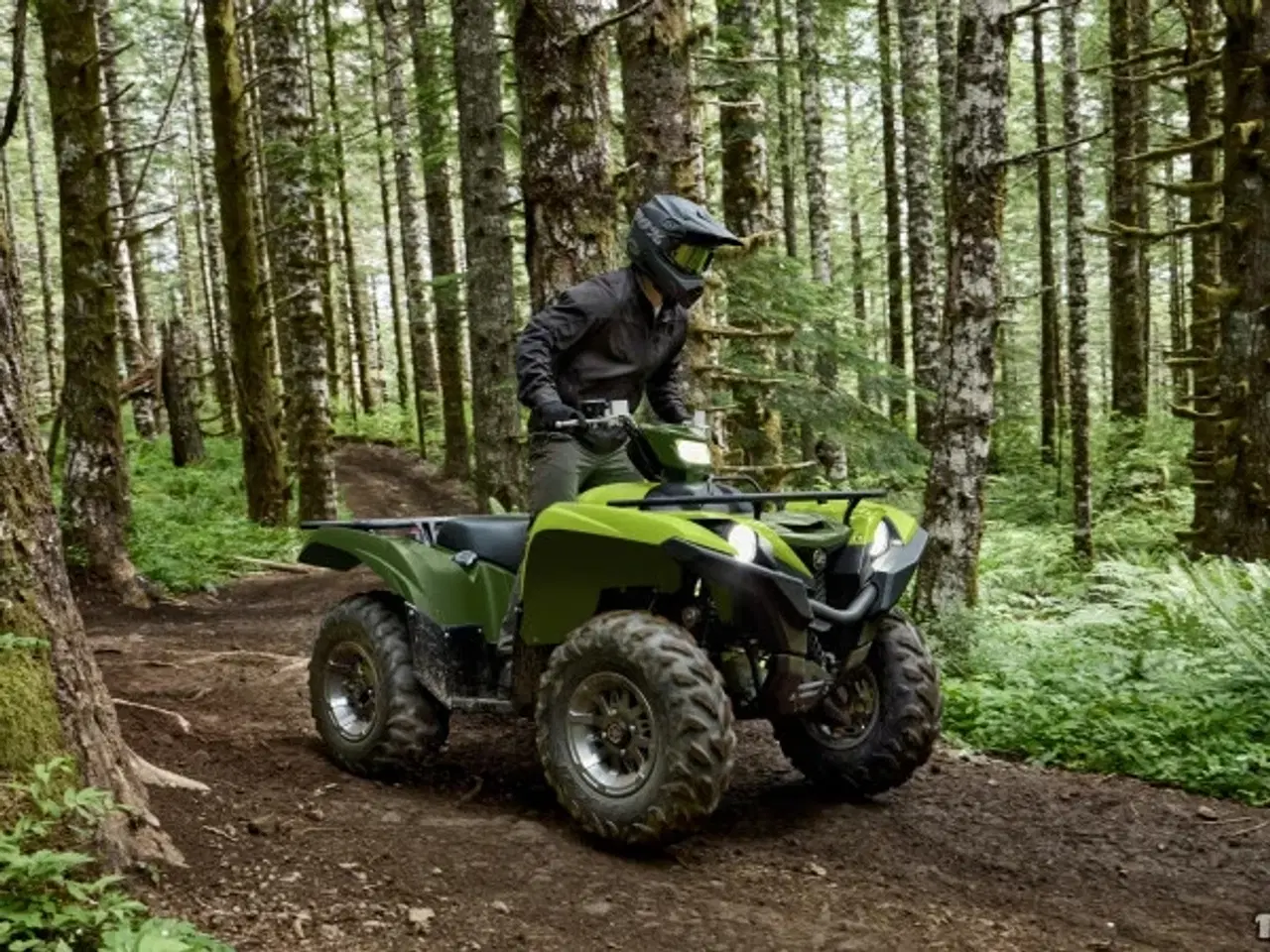 Billede 12 - Yamaha Grizzly 700 EPS Traktor