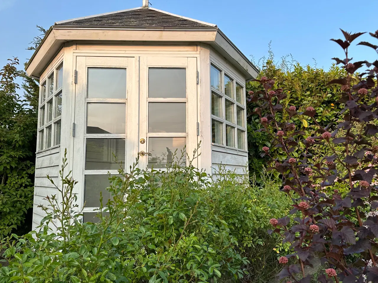 Billede 5 - Havepavillon 