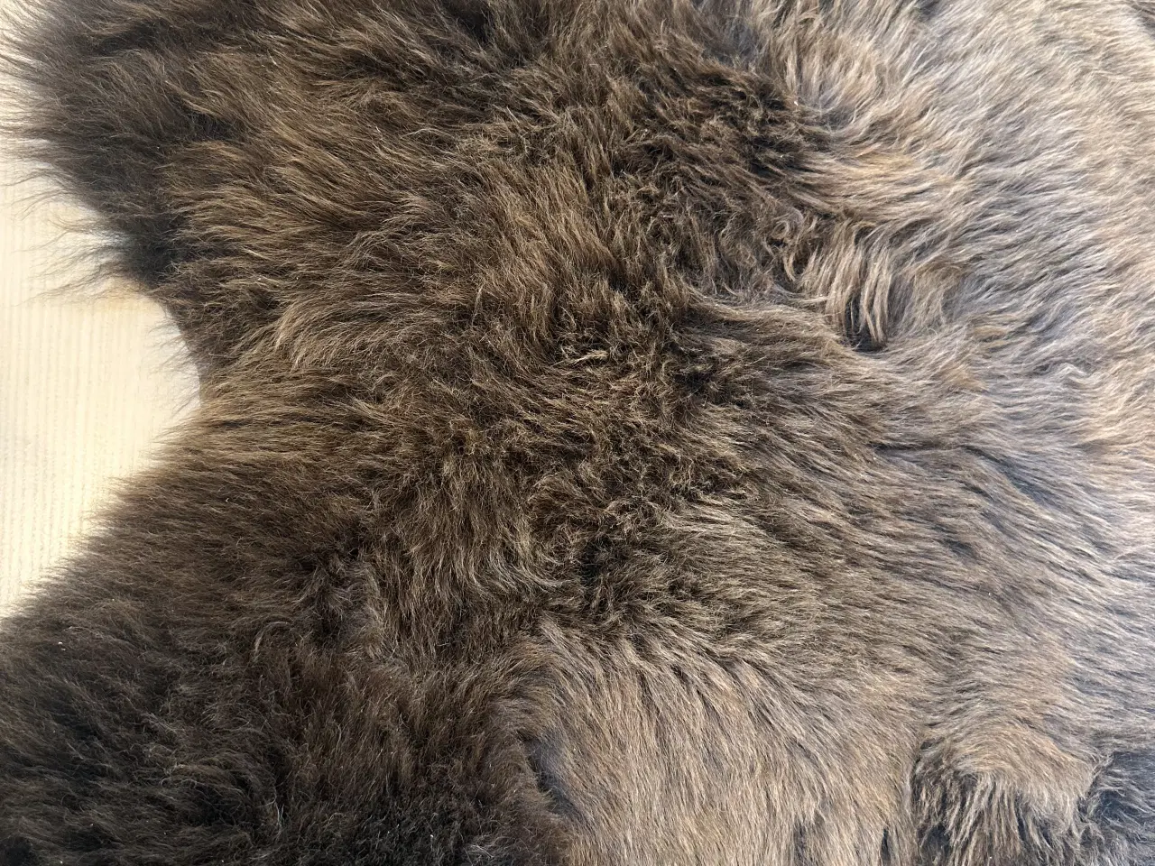 Billede 4 - Helt nyt dansk lammeskind 