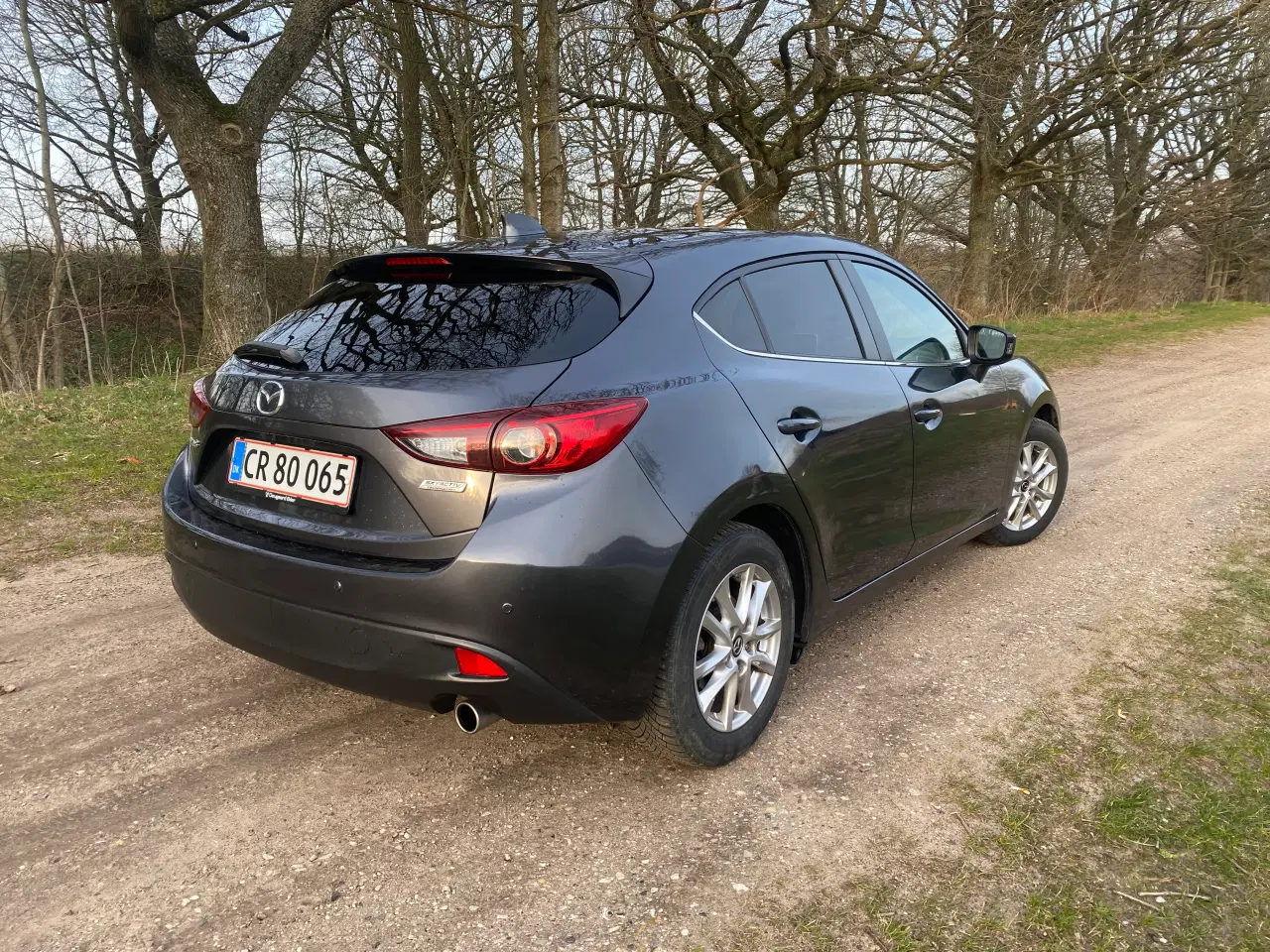 Billede 4 - 2014 Mazda 3 (ny synet)