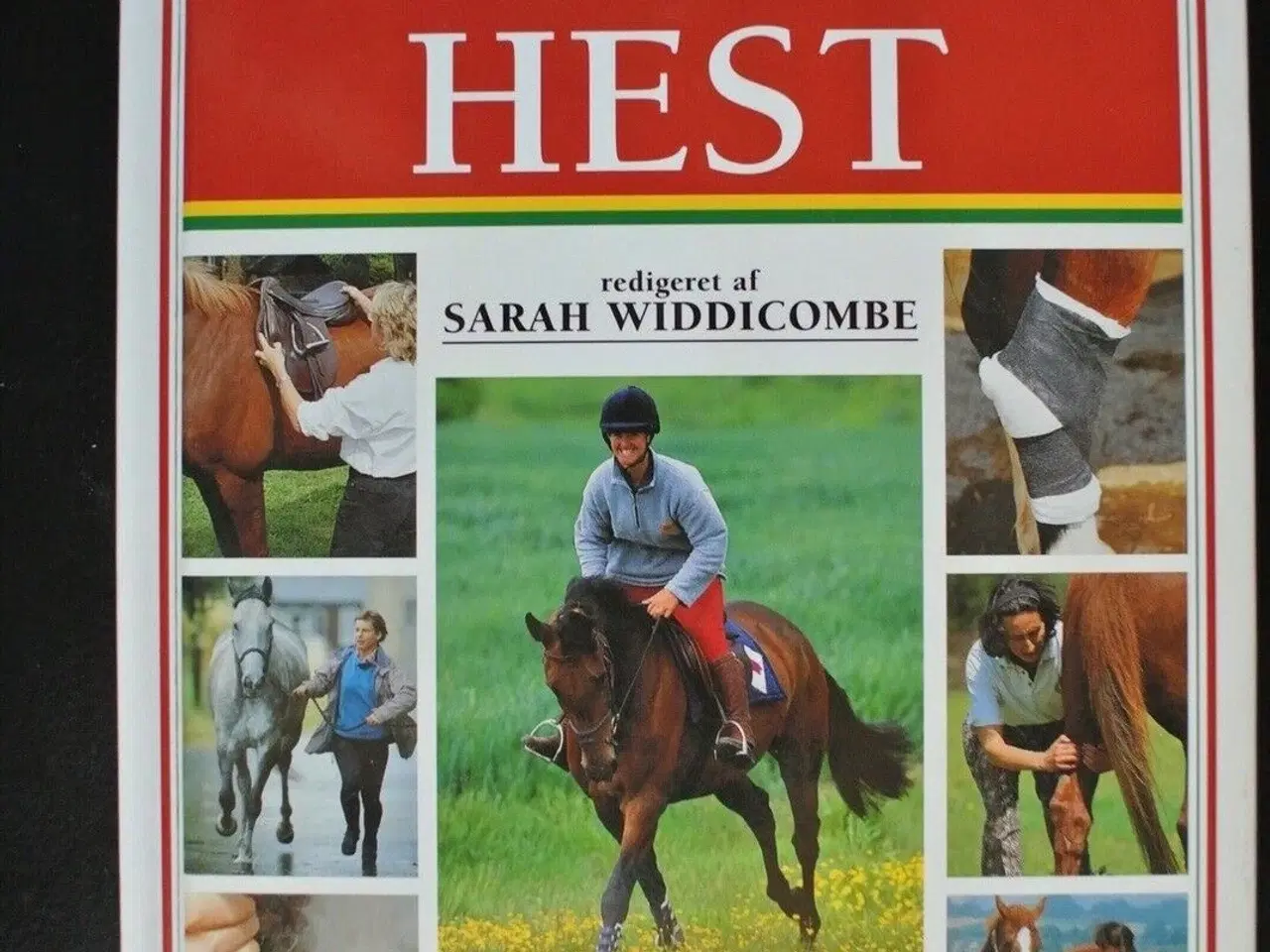 Billede 1 - den sunde hest, red. af sarah widdicombe