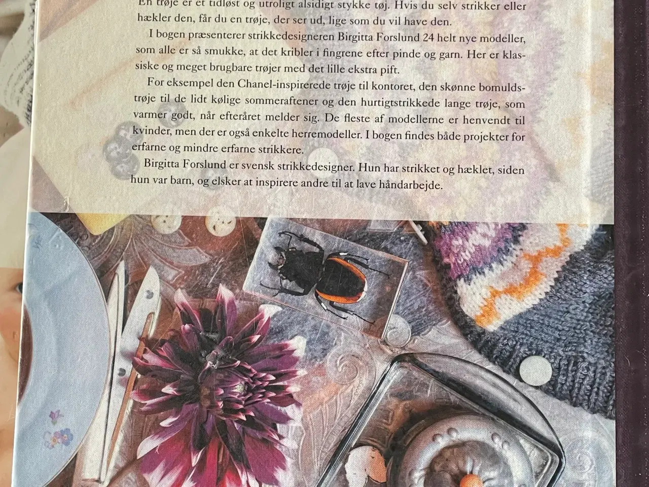 Billede 2 - Birgitta Forslund Min Elskede Trøje