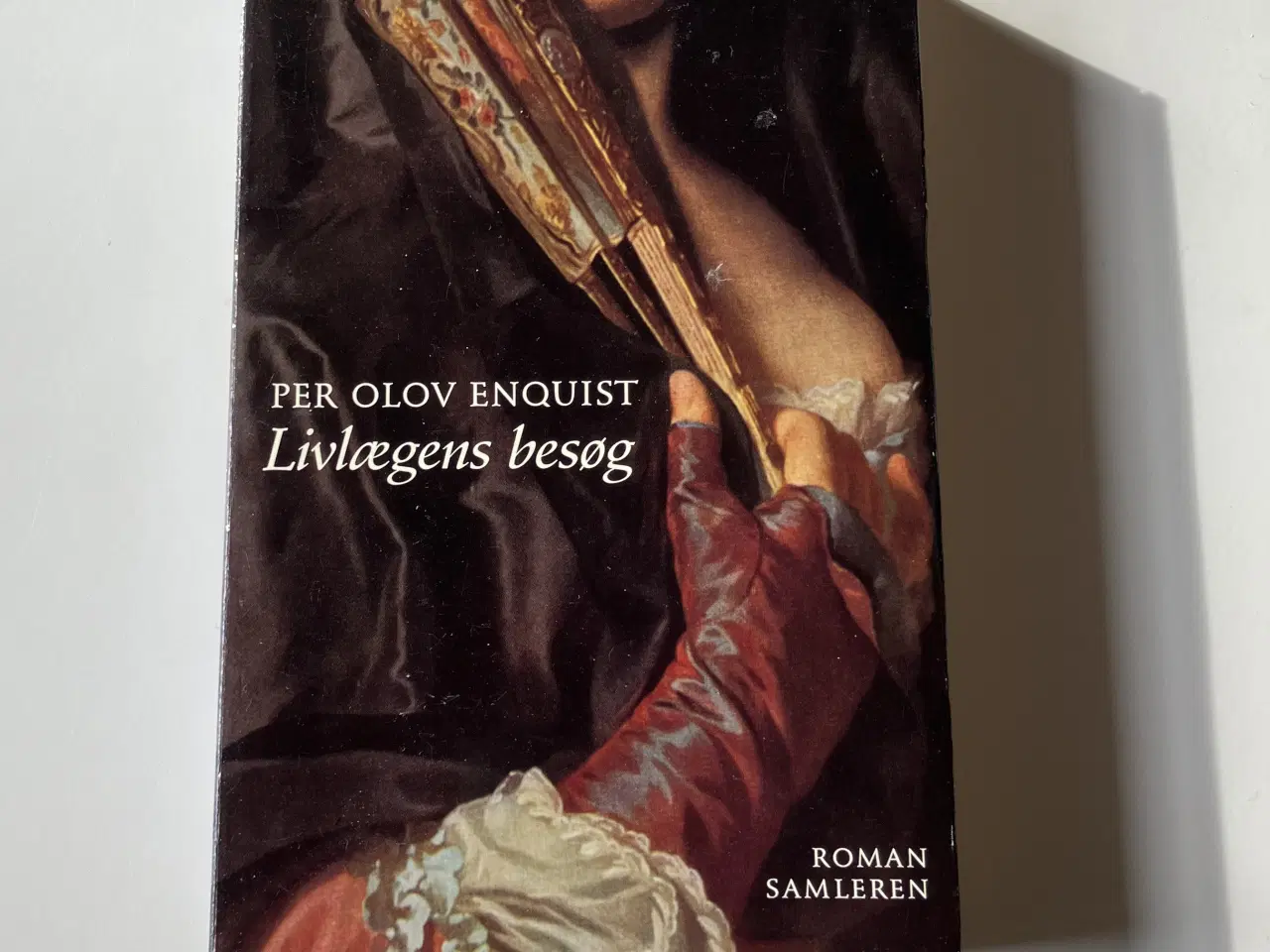 Billede 1 - Livlægens besøg. Af Per Olov Enquist