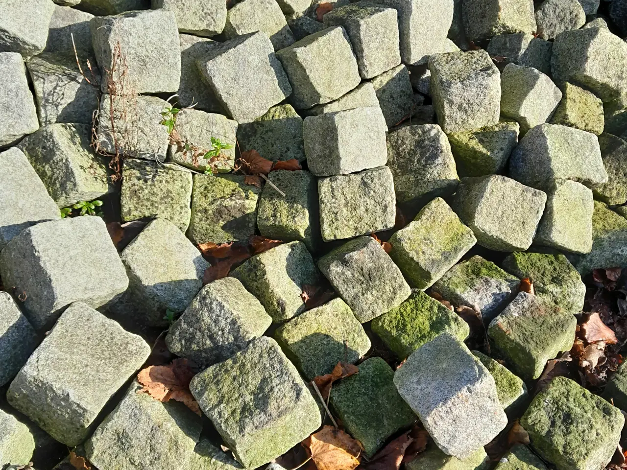 Billede 1 - chaussesten