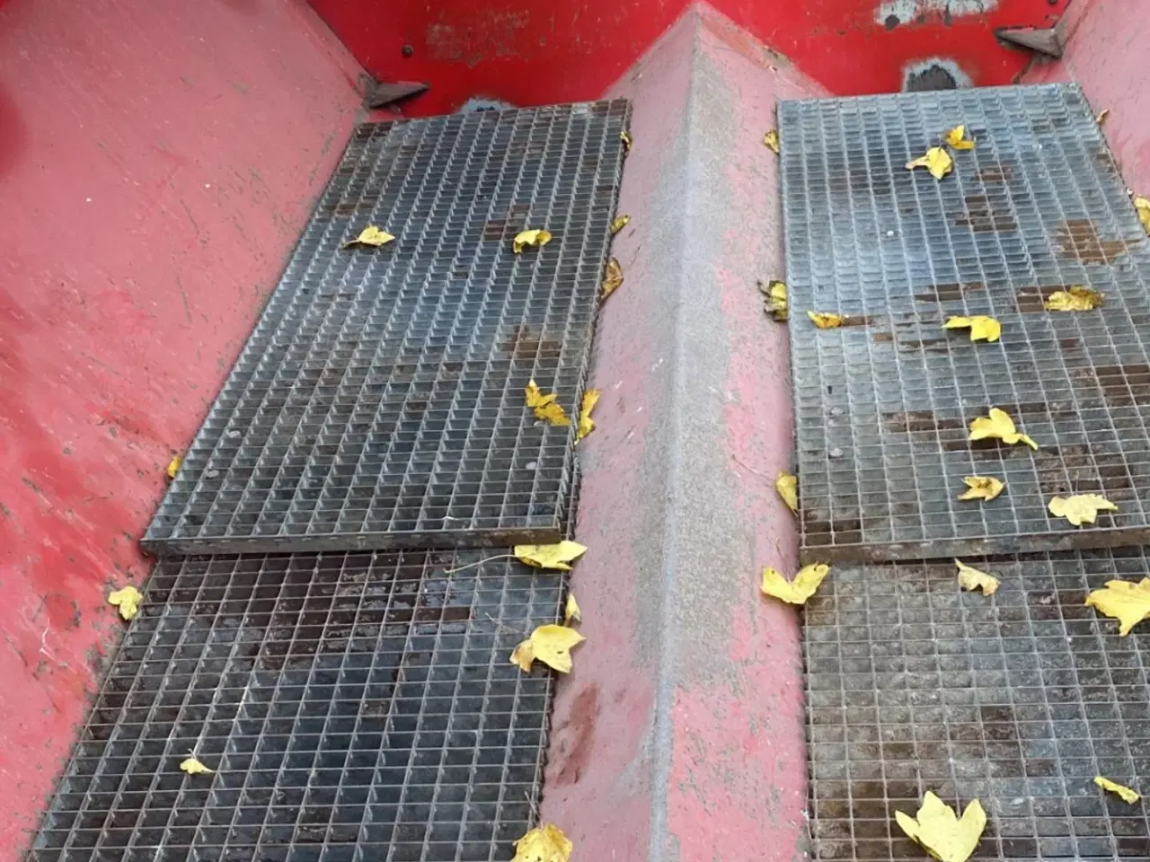 Billede 5 - Bredal B 4