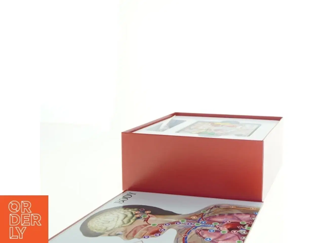 Billede 2 - BodyIQ Junior - brætspil (str. 26 x, 26 x 11 cm)