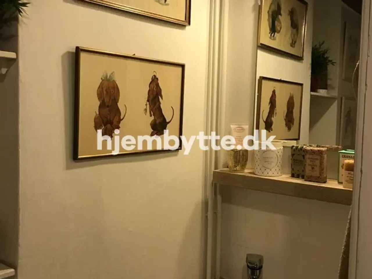 Billede 8 - Hjembytte - NyKongensgade