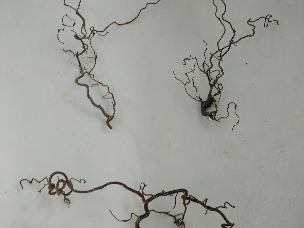 Billede 1 - Troldegrene