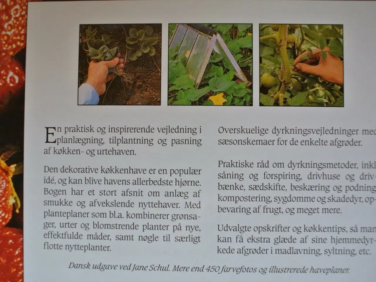 Billede 4 - køkken- og urtehaven, Af anna pavord, emne: hus og