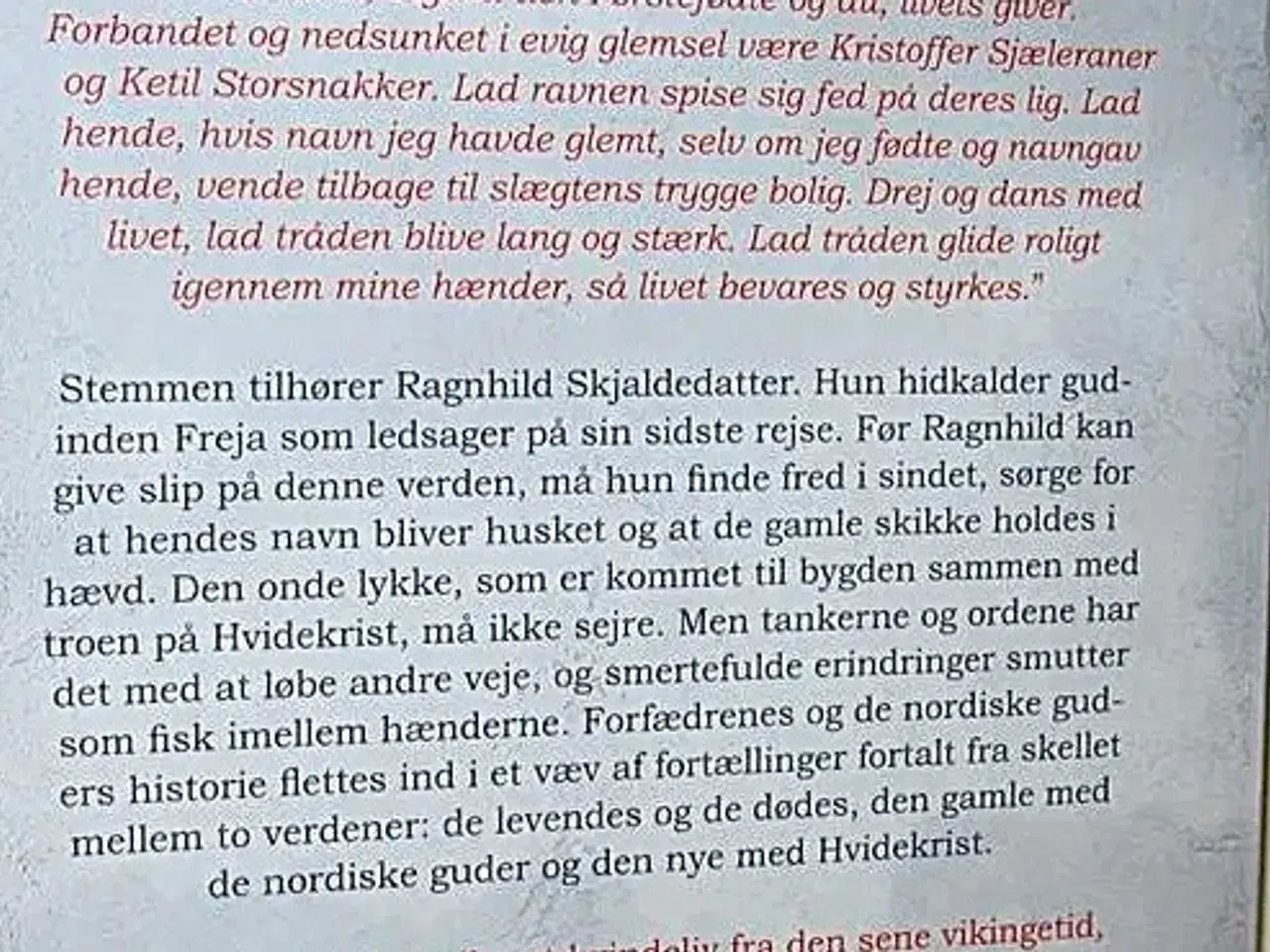 Billede 2 - Ragnhilds saga af Lone Mikkelsen (Ø)