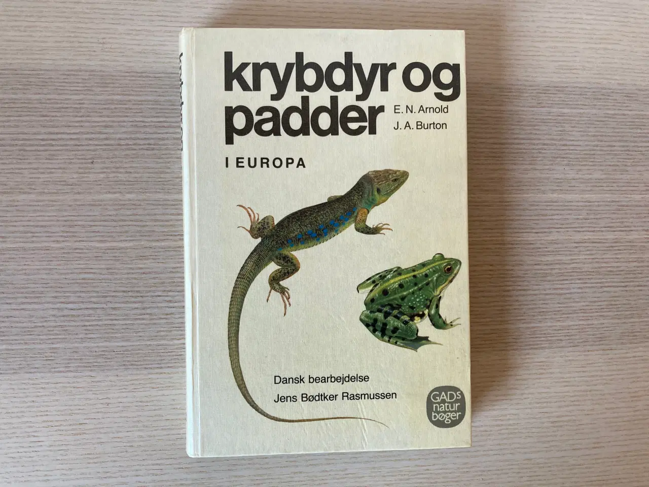 Billede 1 - Krybdyr og padder i Europa - E.N.Arnold,J.A.Burton