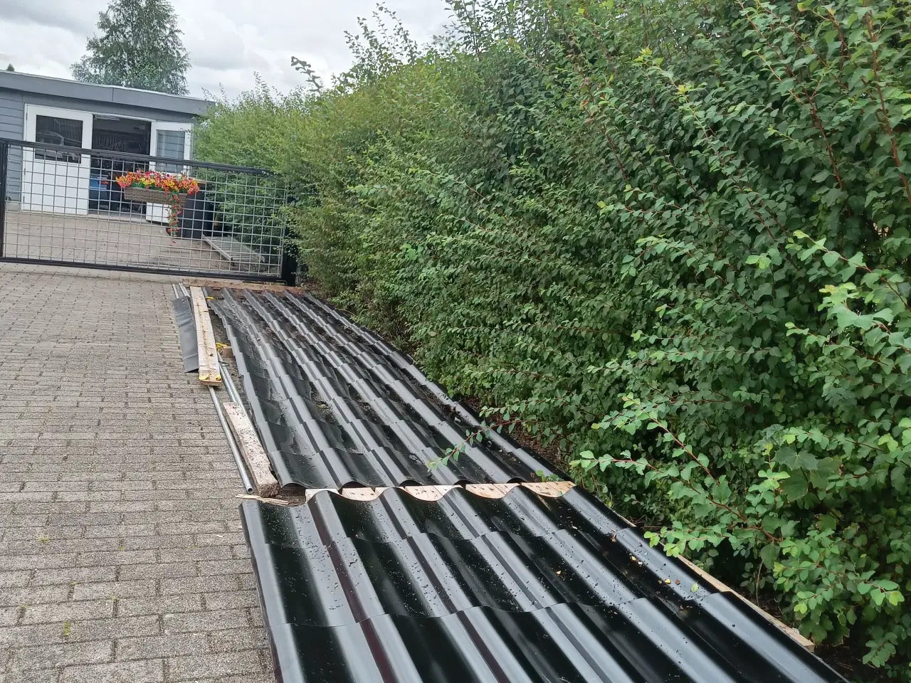 Billede 1 - Tagplader lindab