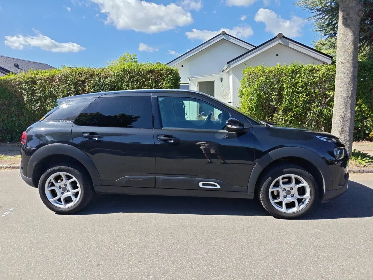 Billede 4 - Citroën C4 Cactus 1,2 PureTech 130 SkyLine