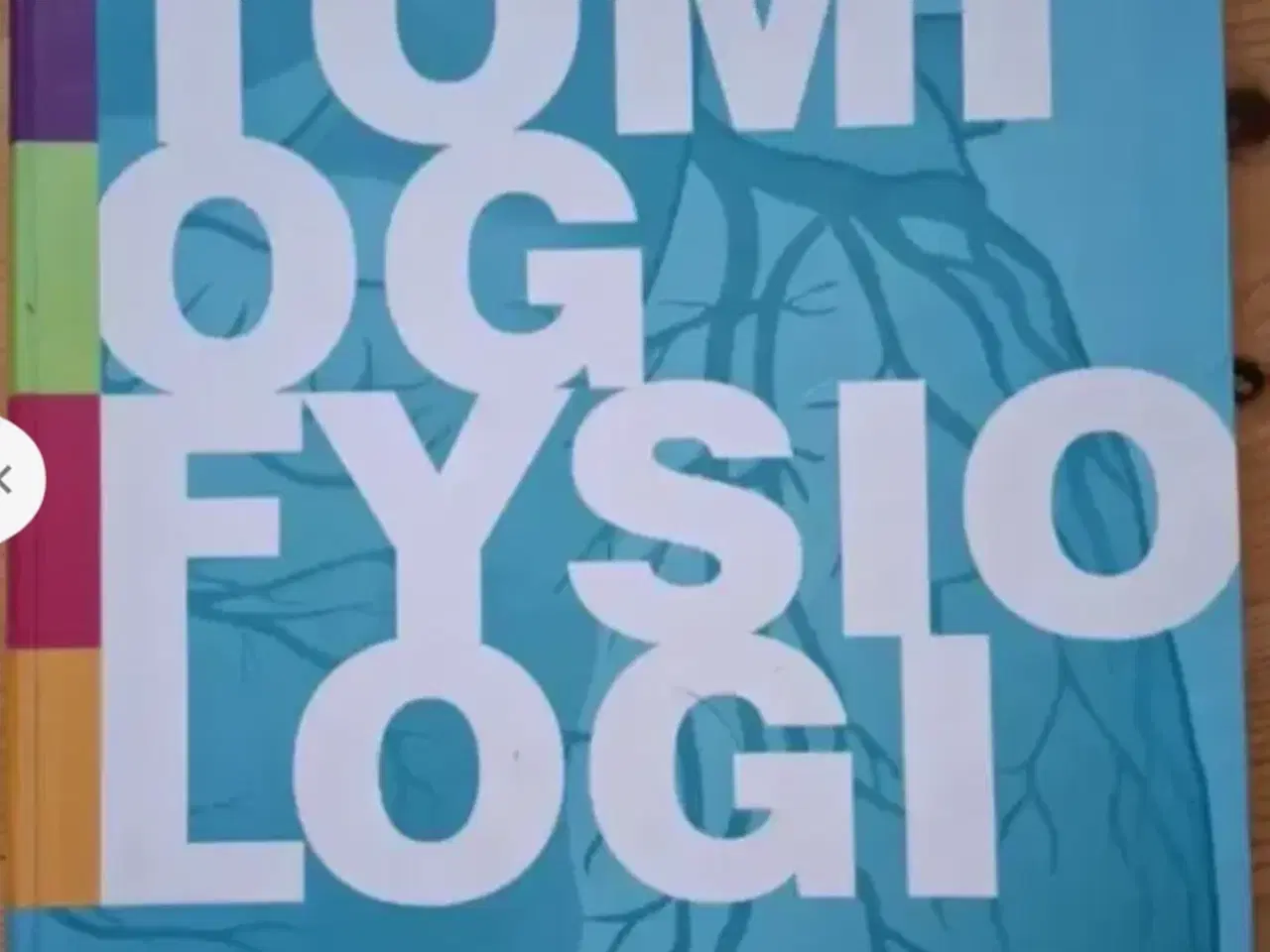 Billede 1 - Anatomi og fysiologi - Hånden på hjertet - Pakke