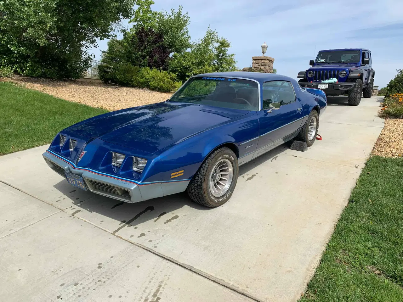 Billede 12 - Pontiac Firebird 1980