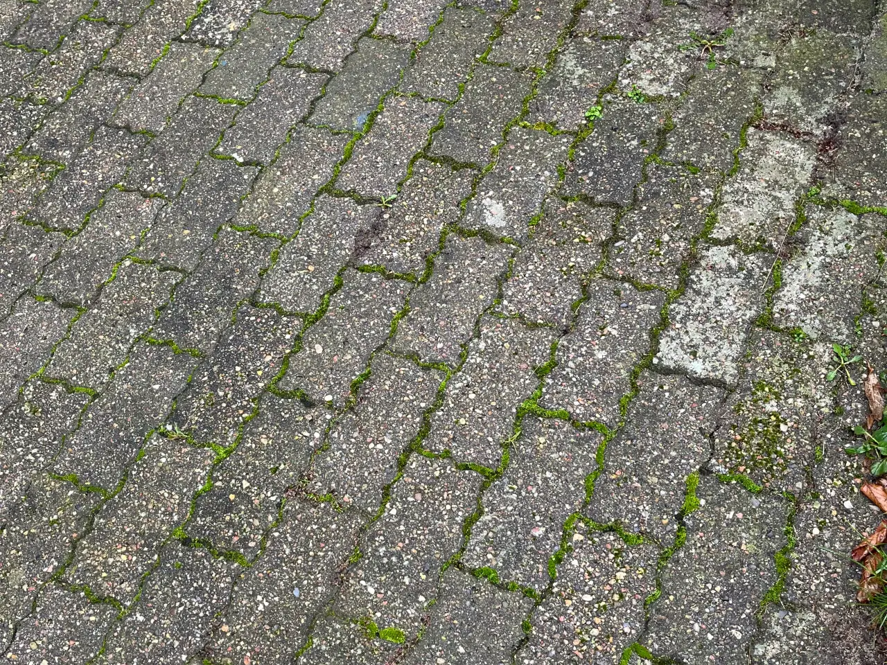 Billede 1 - Cement fliser ca 10 kvm