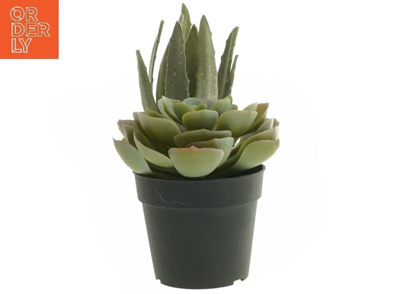 Billede 2 - Dekorative kunstige planter i sorte potter fra IKEA (str. 12 cm og 19 cm)