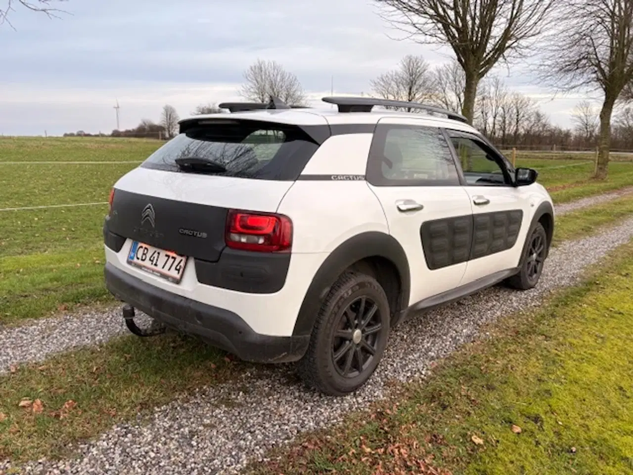 Billede 3 - Citroën C4 Cactus 1,6 BlueHDi 100 Feel 5d