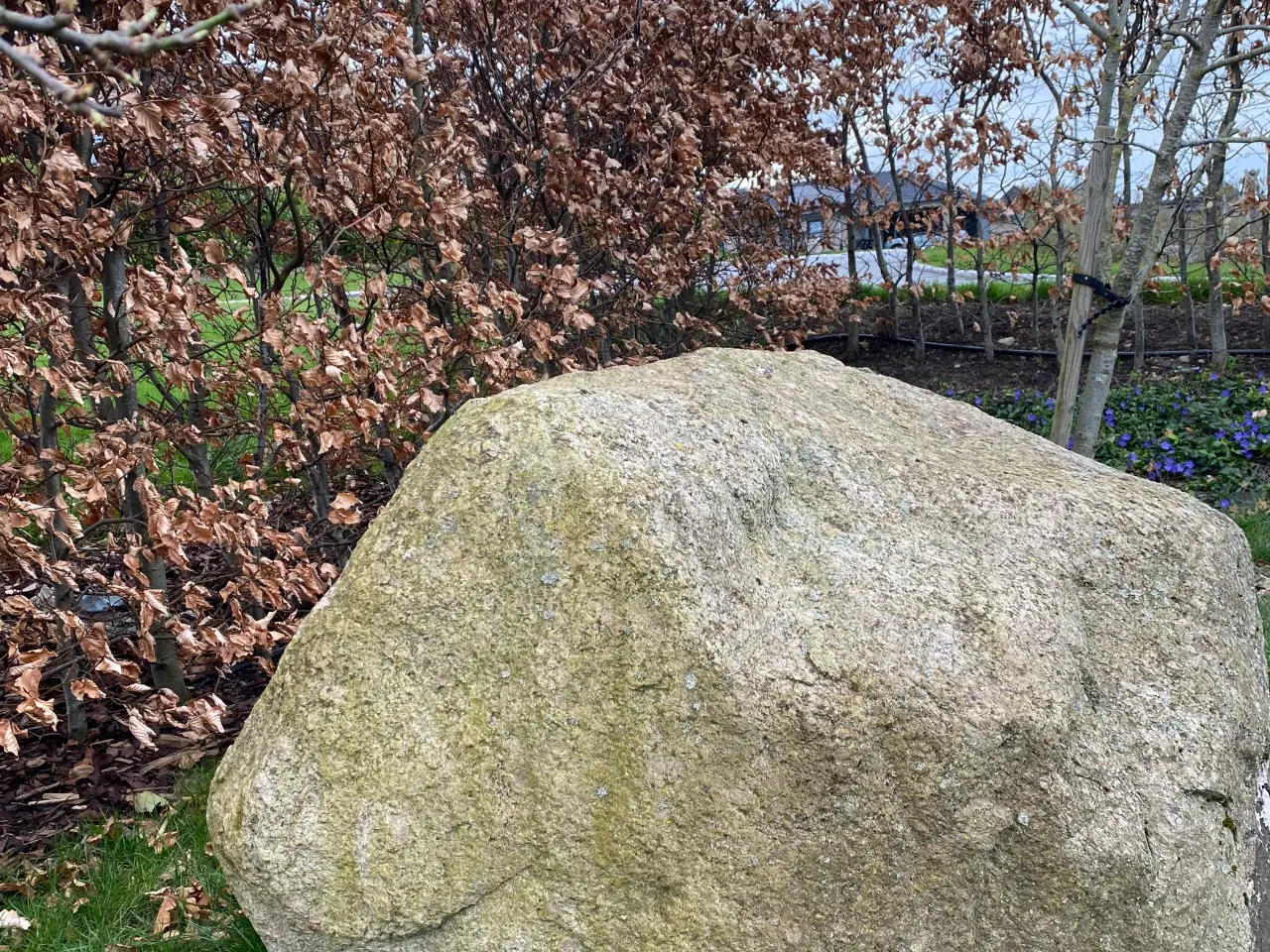 Billede 2 - GRATIS kæmpe sten