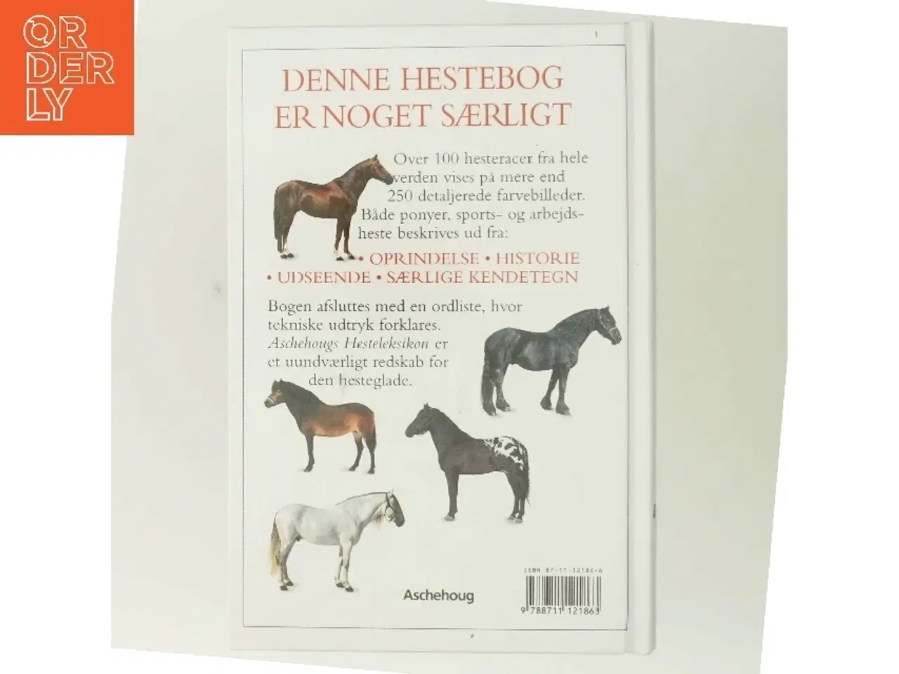 Billede 3 - hesteleksikon af <Bogforfattere er ikke angivet< (Bog)