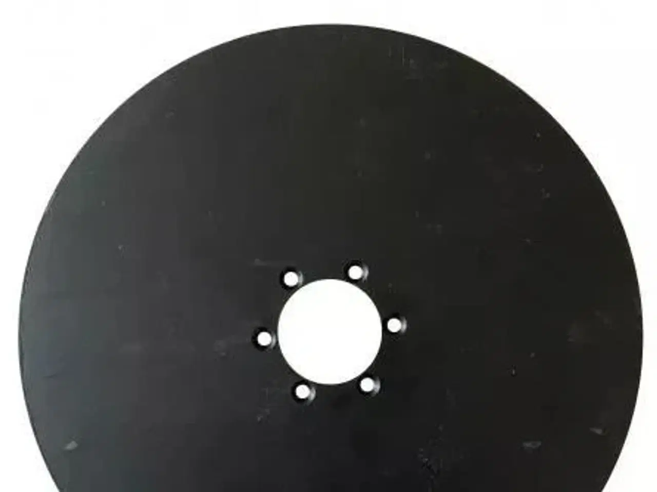 Billede 1 - Kleine Skiveskær (direkt såning)