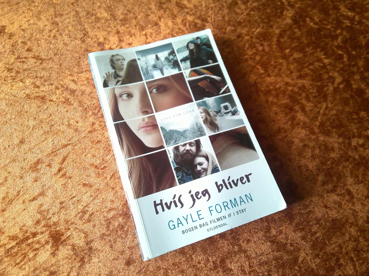 Billede 1 - Da hun forsvandt m.fl., Gayle Forman