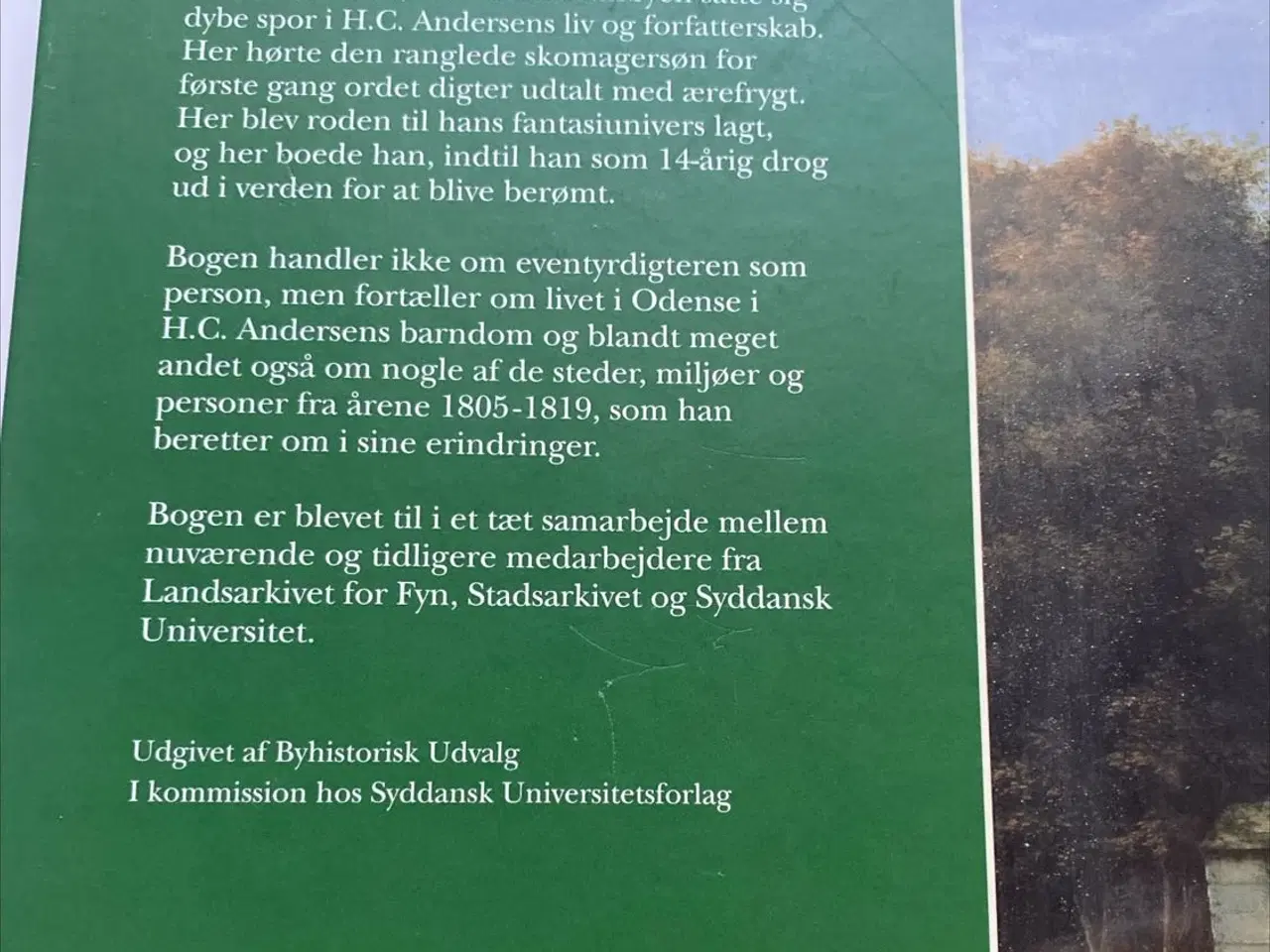 Billede 2 - ODENSEBOGEN 2005