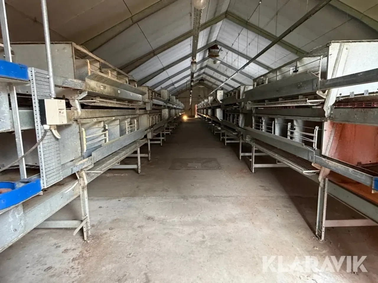 Billede 11 - Produktionslinje Big Dutchman + Landmeco æglægger system