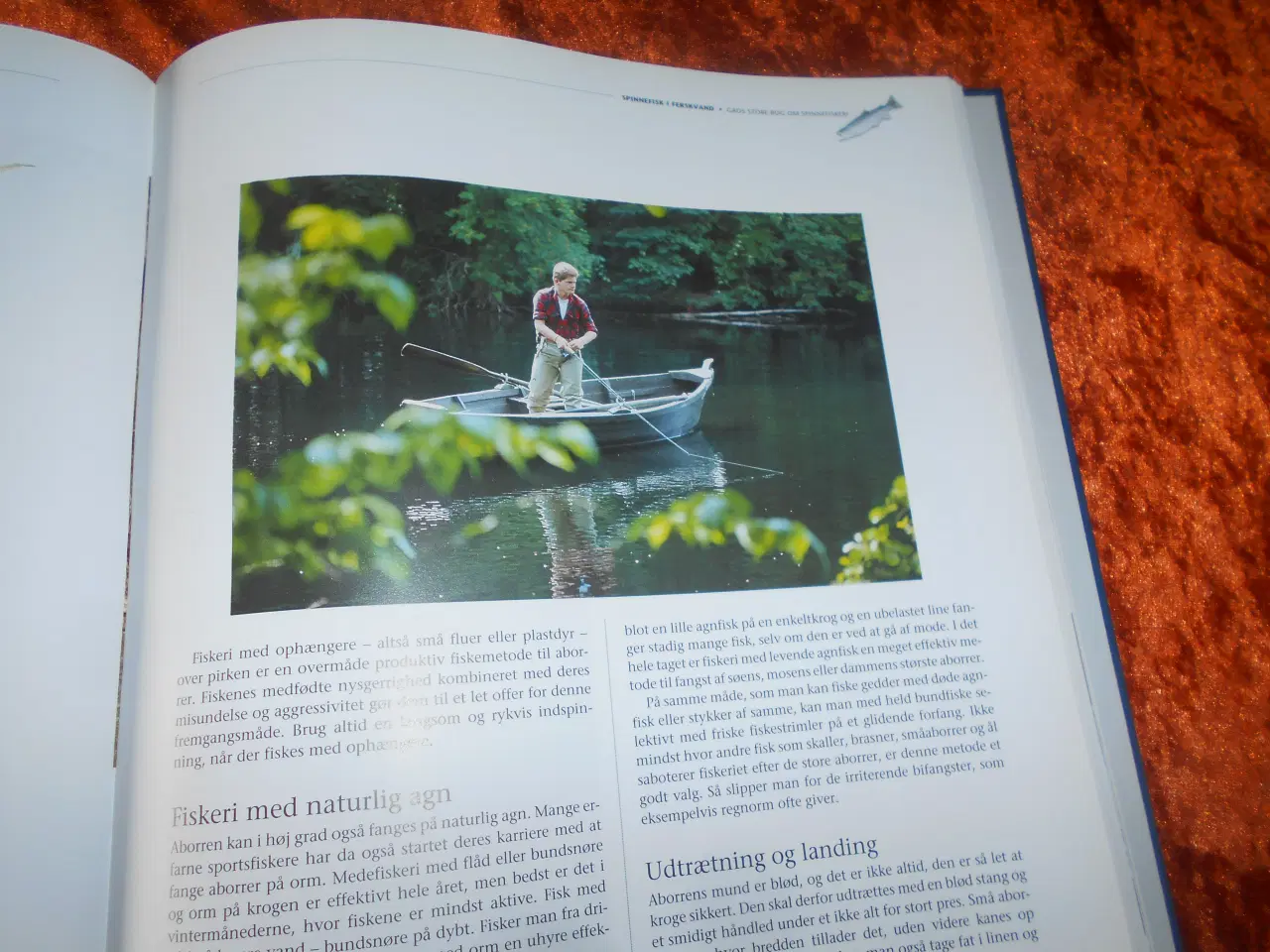 Billede 2 - Gads store bog om spinnefiskeri