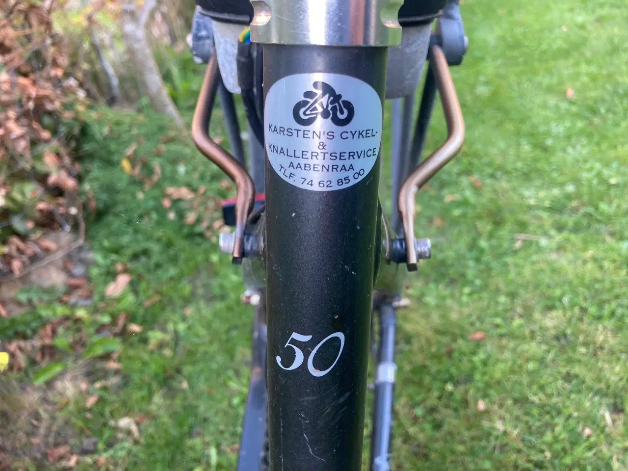 Billede 3 - Raleigh elcykel 