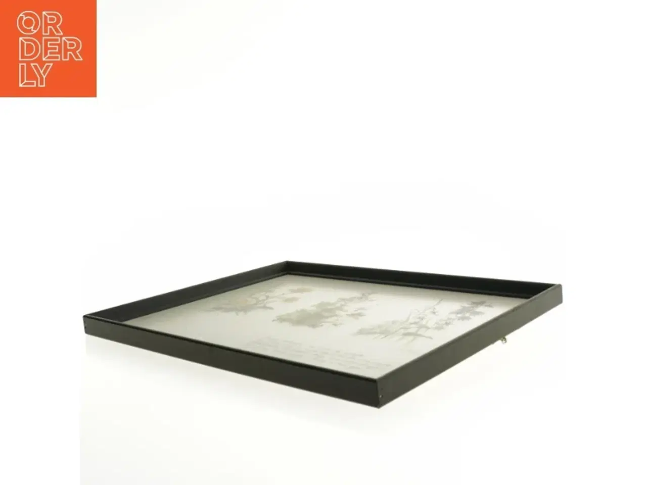 Billede 3 - Indrammet botanisk illustration (str. 40 x 30,5 cm)