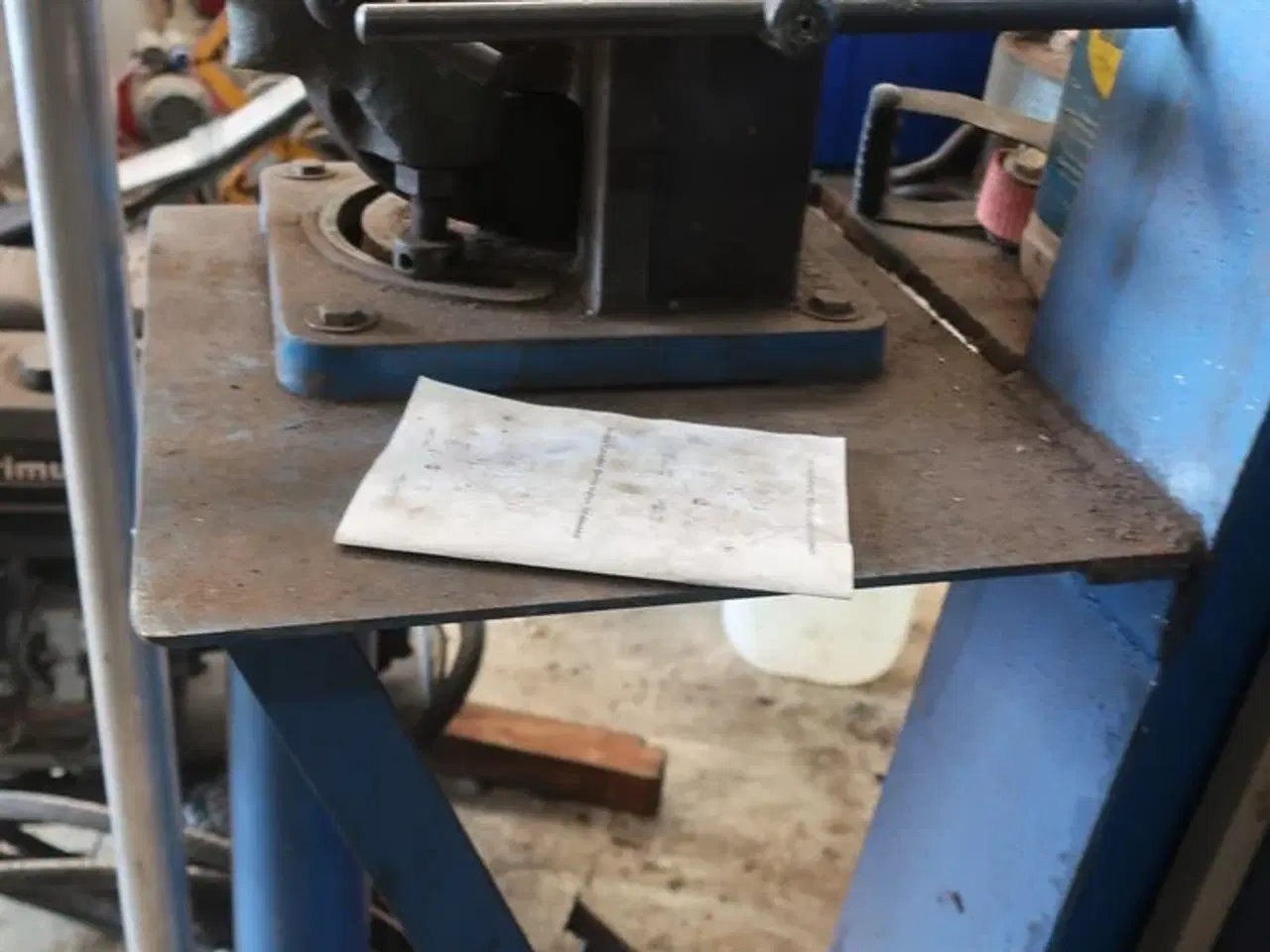 Billede 5 - Fladjernsbukker