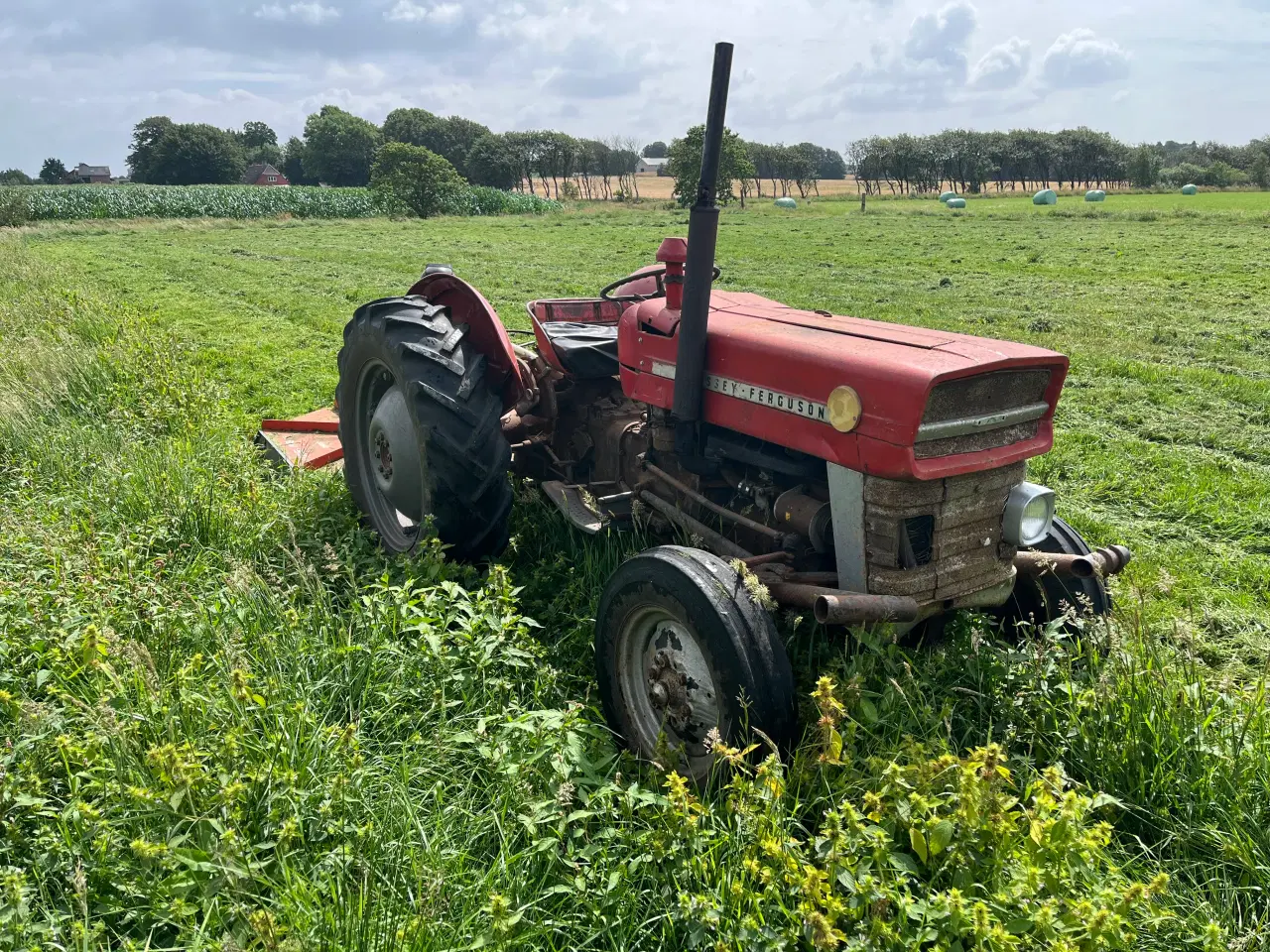 Billede 3 - Massey Ferguson 135 benzin 
