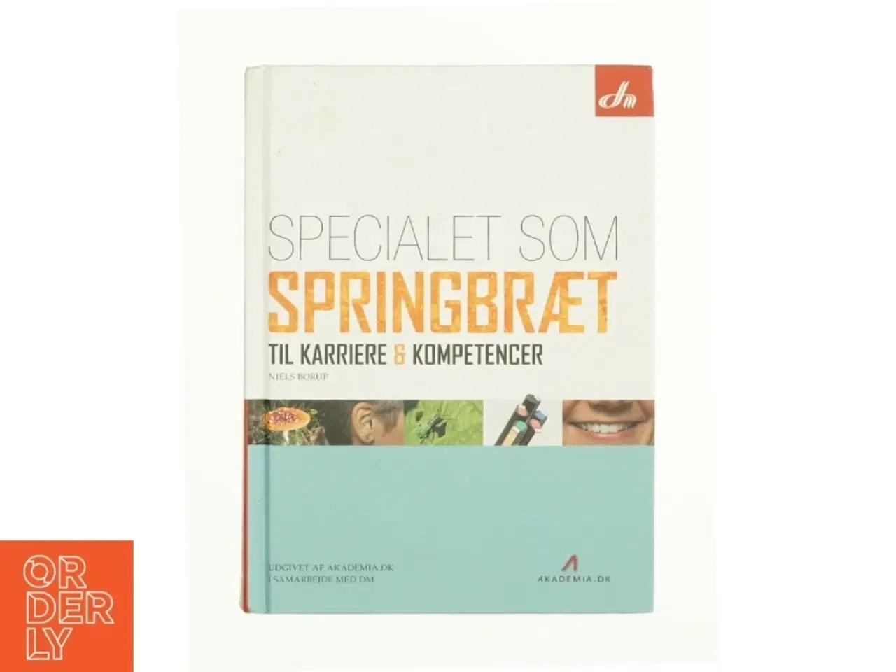 Billede 1 - Specialet som springbræt til karriere & kompetencer af Niels Borup (Bog)