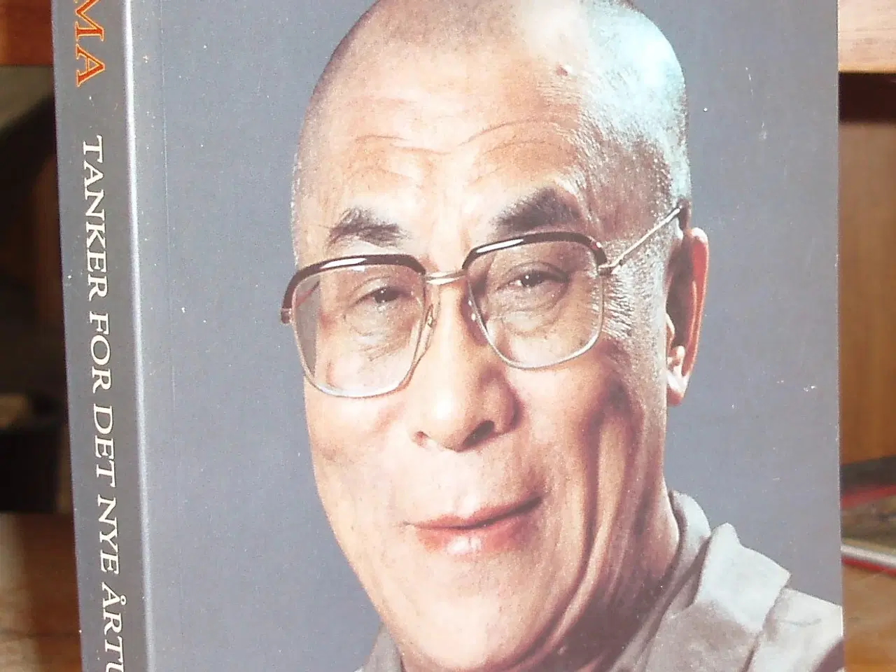 Billede 1 - Dalai Lama tanker for det nye årtusinde