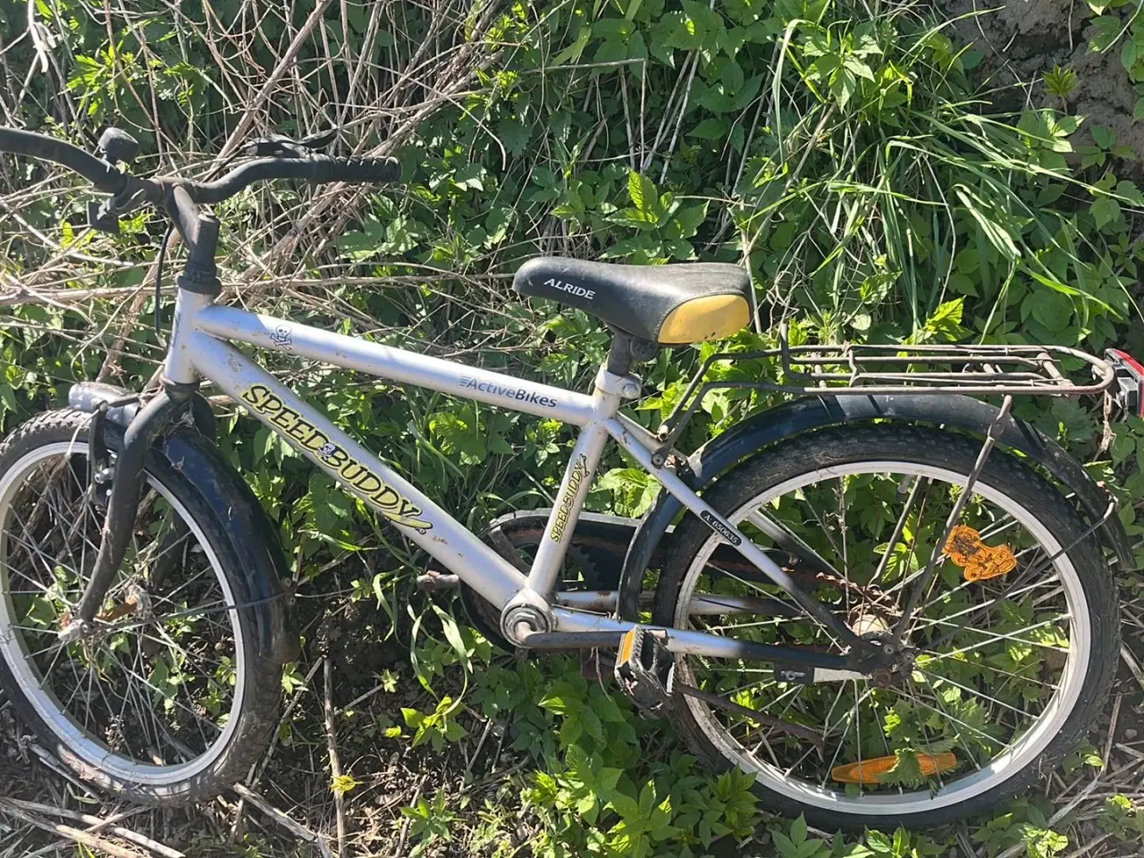 Billede 1 - Speed buddy mountain bike. 