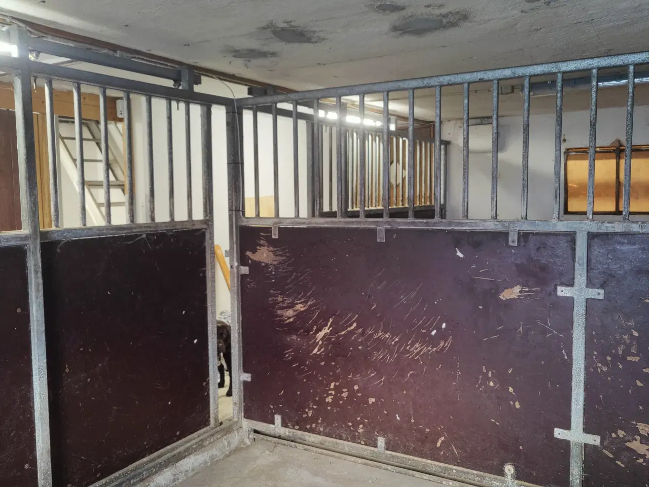 Billede 1 - 2x heste bokse sælges 