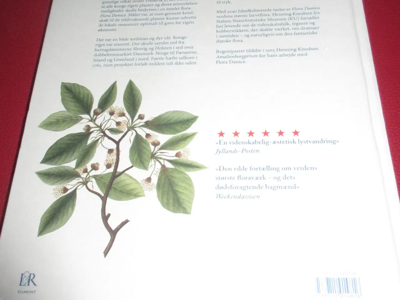 Billede 4 - Bogen Flora Danica af Henning Knudsen